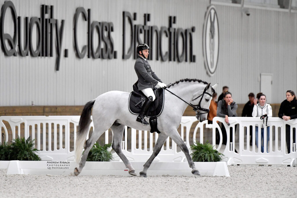 Image shows rider on a horse at World equestrian Center (OH). White equestrian barricades contain the equestrian ring.