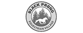 logo black prong